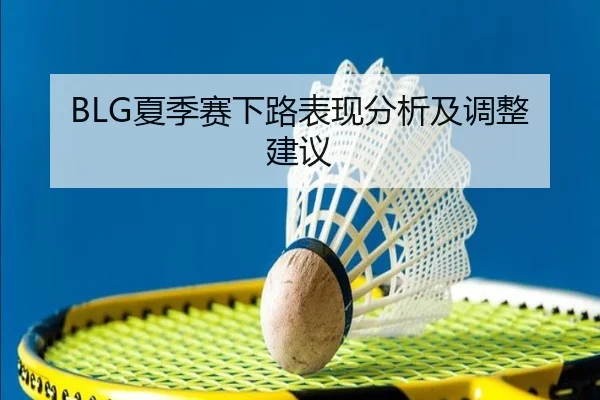 BLG夏季赛下路表现分析及调整建议 - ayx.com